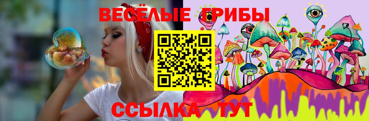 Галлюциногенные грибы GOLDEN TEACHER  Вход с VPN  Бийск 